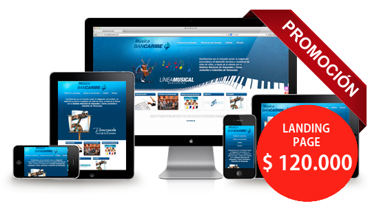 cayca_disenio_web