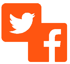 cayca_disenio_web